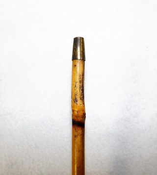 Vintage Japanese Cane Walking Stick Bamboo Signed 35 5/8 