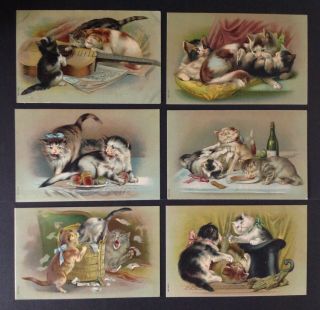 Vintage Cat Postcards - Set Of 6 - Series 592 - Cute Cat Trios At Play