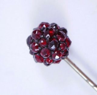 Antique Victorian Rose Cut Bohemian Garnet Ball Top Stick Pin