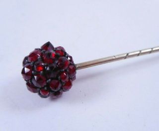 Antique Victorian Rose Cut Bohemian GARNET Ball Top Stick Pin 3