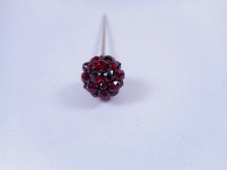 Antique Victorian Rose Cut Bohemian GARNET Ball Top Stick Pin 5