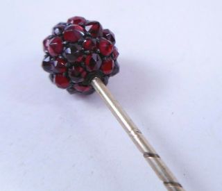 Antique Victorian Rose Cut Bohemian GARNET Ball Top Stick Pin 6