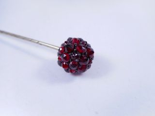 Antique Victorian Rose Cut Bohemian GARNET Ball Top Stick Pin 8