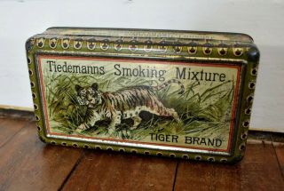 Tiger Image Tobacco Cigarette Tin Vintage Tiedemanns c1925 2