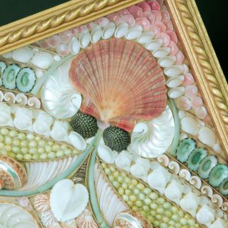 Vintage Sailor ' s Valentine Mary Zook Signed Handmade Shell Flower Art Shadow Box 2