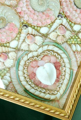 Vintage Sailor ' s Valentine Mary Zook Signed Handmade Shell Flower Art Shadow Box 4