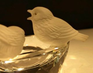 VTG Swarovski Crystal Birds Bowl Bath w/Two Frosted Crystal Birds 7460 4
