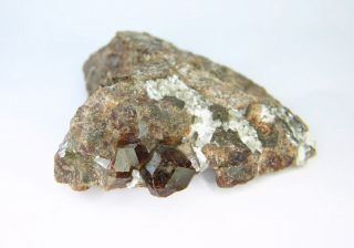 Rare Finland Grossular Lustrous Well Formed Brown Crystals In Matrix VestanfjÄrd