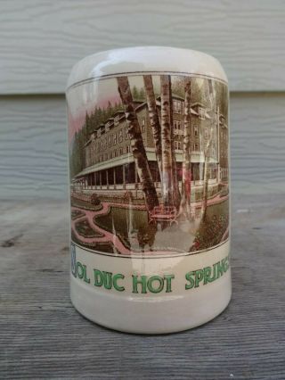 Vintage Mettlach 1909 Stein / Mug Sol Duc Hot Springs Washington Made In Germany