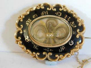 Antique 9ct Gold Enamel & Hair Mourning Brooch 9ct Hair Brooch (4.  5 Cm Wide)