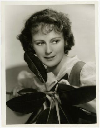 Vintage 1930s Clarence Sinclair Bull Large Hollywood Photograph Dorothy Jordan