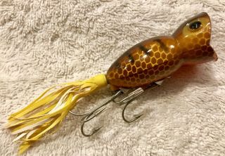 Fishing Lure Fred Arbogast Boxed Hula Popper Brown Parrot Tackle Box Crank Bait 2