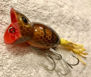 Fishing Lure Fred Arbogast Boxed Hula Popper Brown Parrot Tackle Box Crank Bait 5