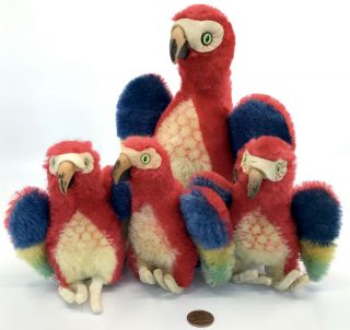 Steiff Lara Parrot x 4 Macaw Birds Mohair Plush 12cm 22cm 5in 9in 1960s Vtg noID 2