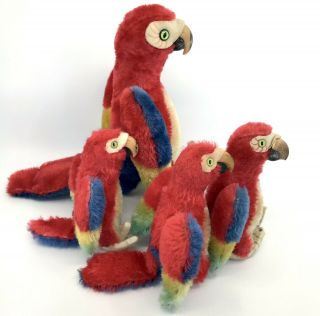 Steiff Lara Parrot x 4 Macaw Birds Mohair Plush 12cm 22cm 5in 9in 1960s Vtg noID 3