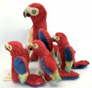 Steiff Lara Parrot x 4 Macaw Birds Mohair Plush 12cm 22cm 5in 9in 1960s Vtg noID 4