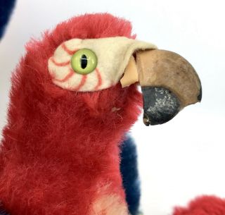 Steiff Lara Parrot x 4 Macaw Birds Mohair Plush 12cm 22cm 5in 9in 1960s Vtg noID 8