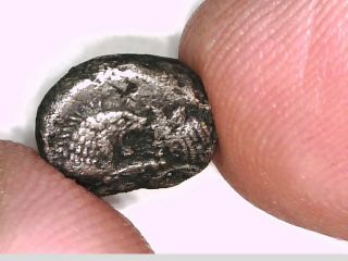 Asia Minor Lydia Sardeis Kroisos Silver Hekte 1/6 Lion Bull Incuse rare coin 10