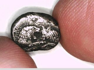 Asia Minor Lydia Sardeis Kroisos Silver Hekte 1/6 Lion Bull Incuse rare coin 11