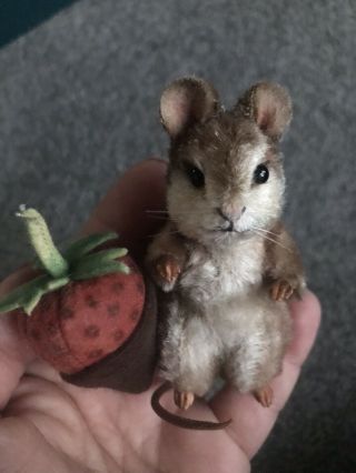 Rare R.  J.  Wright Christmas Mouse Mice Miniature " Cocoa " Retired Box