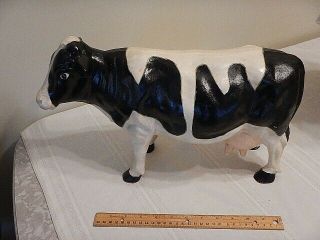 Vintage Painted Cast Iron Cow 17 " Long Holstein 25 Pounds Store Display