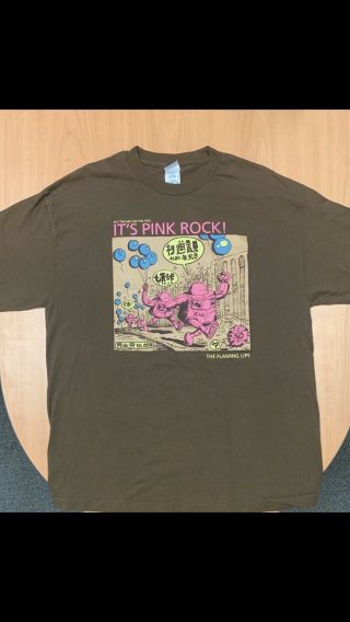 Rare Vtg Flaming Lips It’s Pink Rock T - Shirt Xl