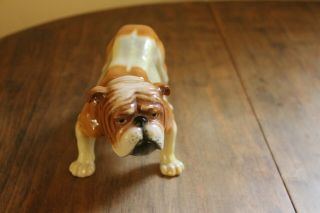 Vintage Goebel Germany Large Bulldog Figurine Bull Dog Ch626 1969