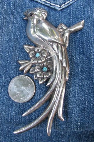 Vintage Mexican? Sterling Silver Large Parrot Pin Amethyst Eye Turquoise Flowers