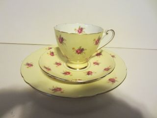 Vintage Shelley Chintz Trio Plate Cup Saucer Humes Rose Ripon Shape Yellow Set