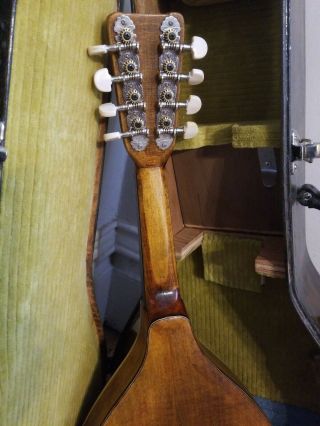 Vintage Mandolin Wooden Instrument W/ Case Acoustic Guitar Banjo Music Band 7