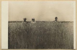 Rppc Farmer Friends Standing In Tall Grass Vtg Wheat Field Horizon Photo Family