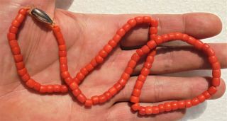 Red Salmon Coral Necklace - Metal Clasp (24 Gr. )