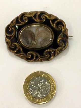 Fine Jewellery Locket Brooch,  Antique Victorian,  Platted Hair Mourning Brooch4.  5cm