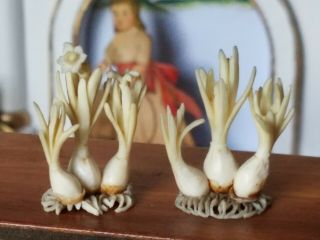 Antique Dollhouse Miniature Bone Carved Flower Onions 1:12