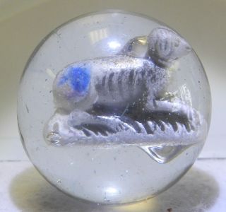8582m Rare Vintage German Sulfide Sulphide Dog Marble With Blue Spot