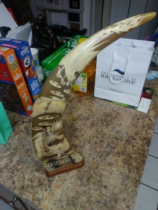 Vintage Asian Hand Carved Horns With Chinese Dragons Wooden Stand 3
