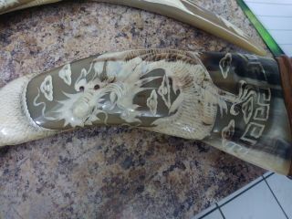 Vintage Asian Hand Carved Horns With Chinese Dragons Wooden Stand 6