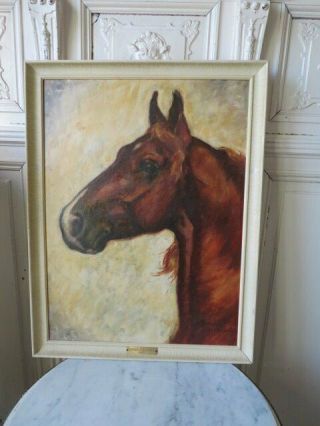Omg Old Vintage Oil Painting 1961 Horse & Photo Horse Racing Danish Commander