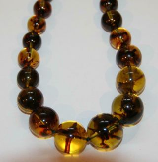 Vintage 30 " Graduated Natural Baltic Amber Beads Necklace Cloudy Clear 78.  8g A,