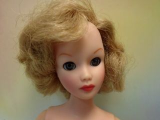 Rare 1962 Uneeda Wendy (montgomery) Ward Doll Exclusive With Y Body & Sleepeyes