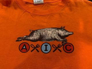 ALICE IN CHAINS Vintage Authentic 96 ' The Other White Meat T - Shirt Orange Large 2