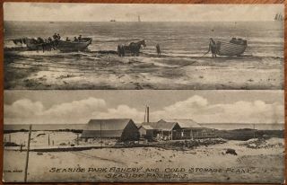 Vintage Postcard Seaside Park,  Jersey Fishery And Cold Storage Plant