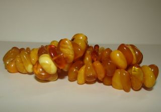 Splendid,  Antique,  Butterscotch Baltic Amber Bead Necklace,  75.  0 Grams
