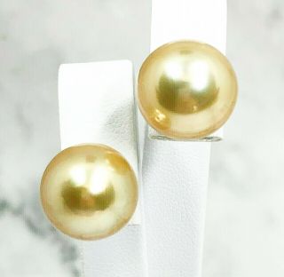 Massive Natural Gold Australian South Sea 13.  3mm Cultured Pearl Classic Earrings