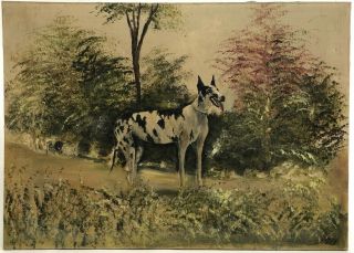 Antique Oil On Canvas Harlequin Great Dane Dog Vintage Painting Signed Iris 27”
