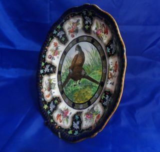 Vintage Copeland Spode Upland Game Pheasant No.  6 Cobalt Dinner Plate 2/5526 2