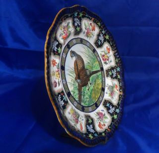 Vintage Copeland Spode Upland Game Pheasant No.  6 Cobalt Dinner Plate 2/5526 3