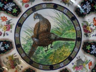 Vintage Copeland Spode Upland Game Pheasant No.  6 Cobalt Dinner Plate 2/5526 4