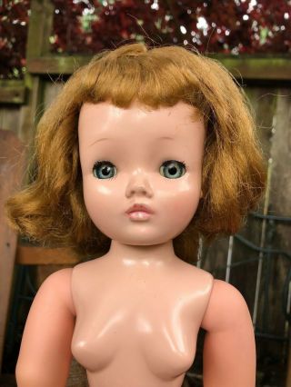 1950s Vintage Madame Alexander Cissy Doll 20” Tlc 8