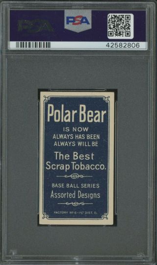 T206 Lou Fiene Portrait Polar Bear RARE BACK PSA 5.  5 POP 1 ONLY 1 HIGHER 2